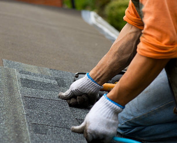 Best Roof Gutter Cleaning  in Downey, CA